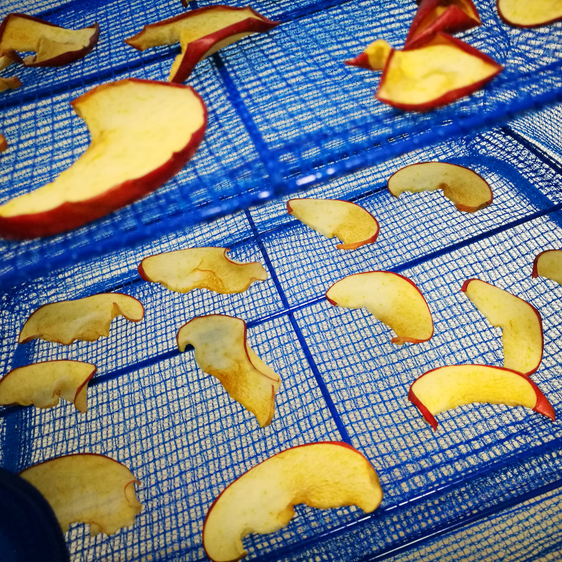 りんごのドライフルーツを作る