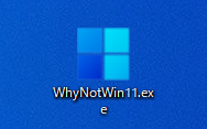 WhyNotWin11.exe を実行