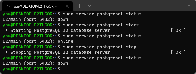 PostgreSQL の状態を確認する